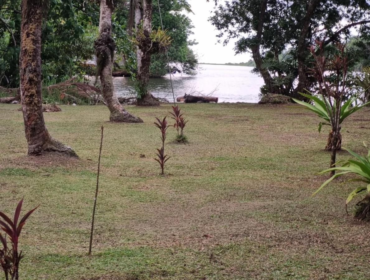 Cabinas Tortuguero Sports Fishing Bed and Breakfast Esterno foto