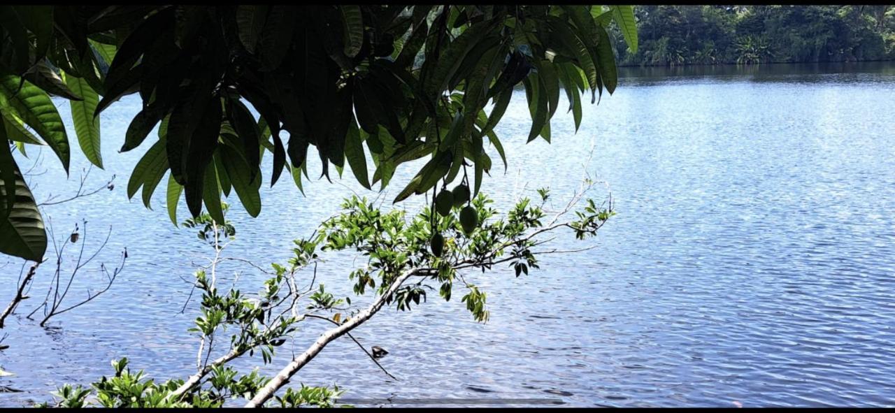 Cabinas Tortuguero Sports Fishing Bed and Breakfast Esterno foto