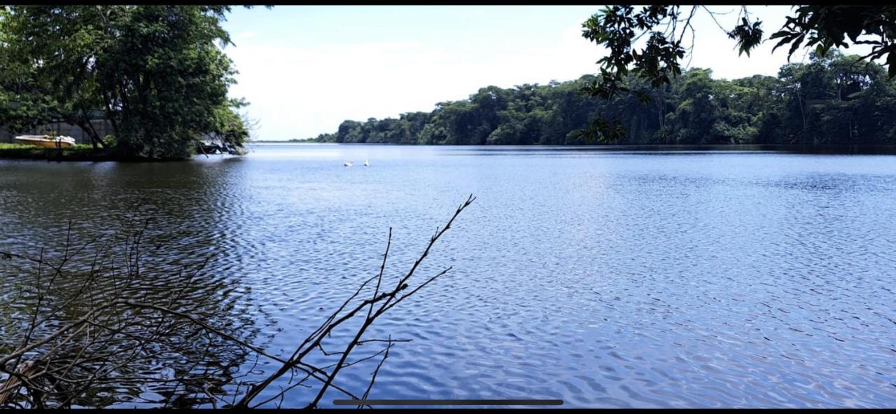 Cabinas Tortuguero Sports Fishing Bed and Breakfast Esterno foto